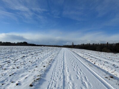 Cold landscape white photo