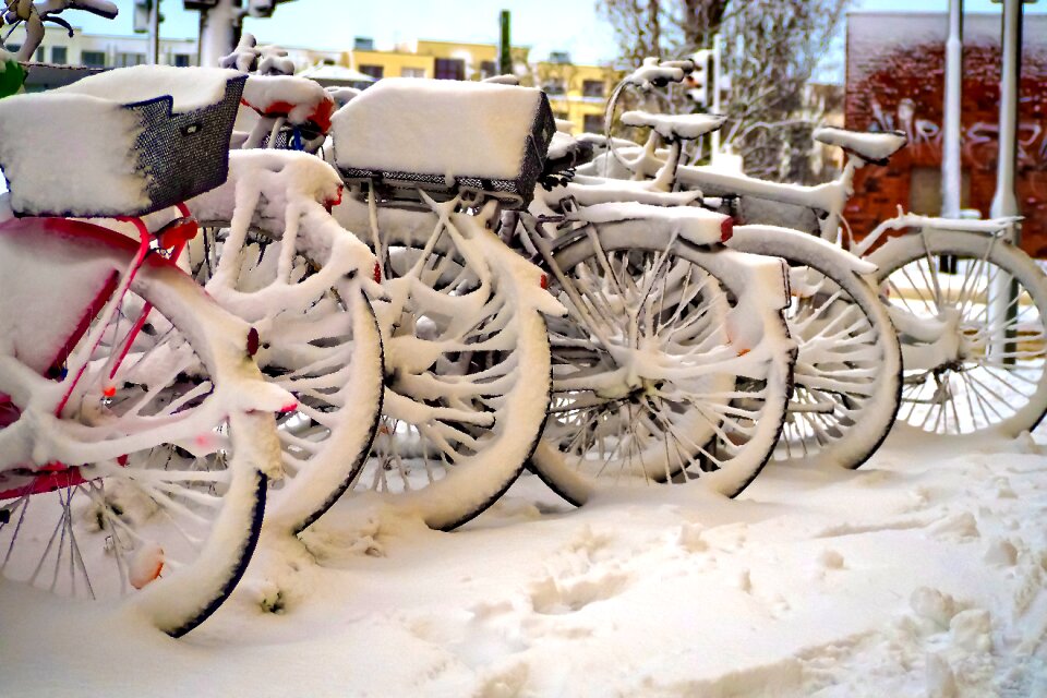 Cold white snowfall photo