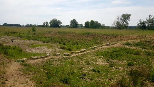 Voulwames-stapstenen door natuurgebied (2)