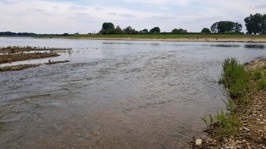 Voulwames-monding van de Geul (3)