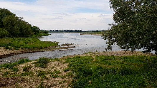 Voulwames-monding van de Geul (2)