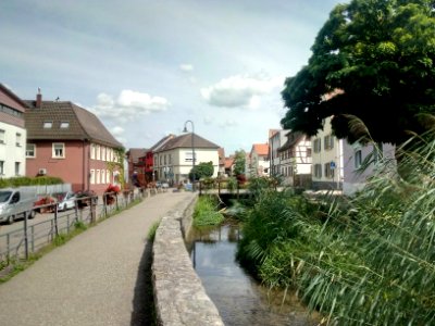 Walzbach, Weingarten (5)