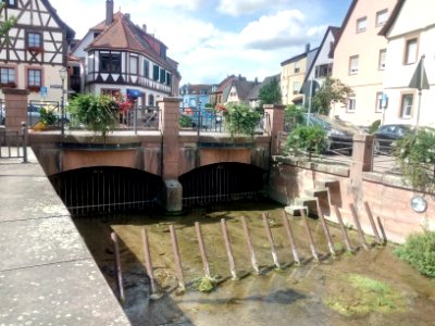 Walzbach, Weingarten, Anfang Verdolung