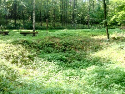 Walzbach, Hungerquelle (2)