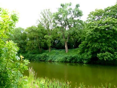 Wallgraben in Planten un Blomen
