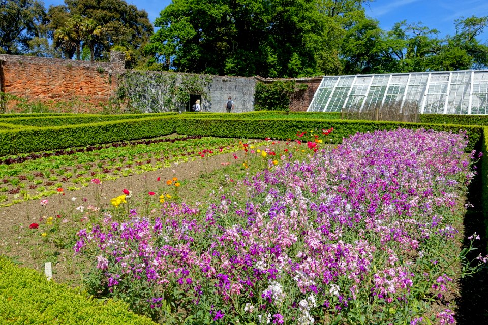 Walled gardens - Lost Gardens of Heligan - Cornwall, England - DSC02840