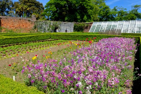 Walled gardens - Lost Gardens of Heligan - Cornwall, England - DSC02840
