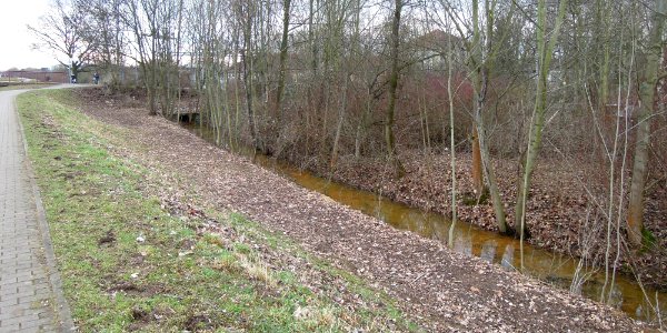 Wallgraben in Markkleeberg (entlang der Außenseite des linksufrigen Pleißedeichs verlaufend) 2017b