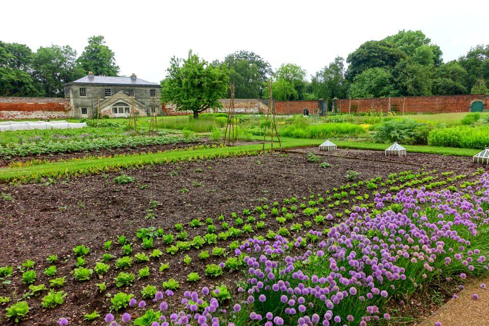 Walled Garden, Shugborough Estate - Staffordshire, England - DSC00004