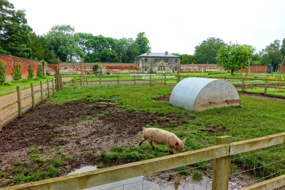 Walled Garden, Shugborough Estate - Staffordshire, England - DSC00002