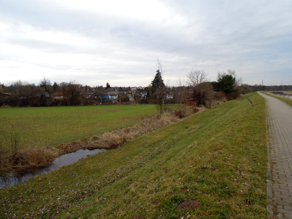 Wallgraben in Markkleeberg (entlang der Außenseite des linksufrigen Pleißedeichs verlaufend) 2017a
