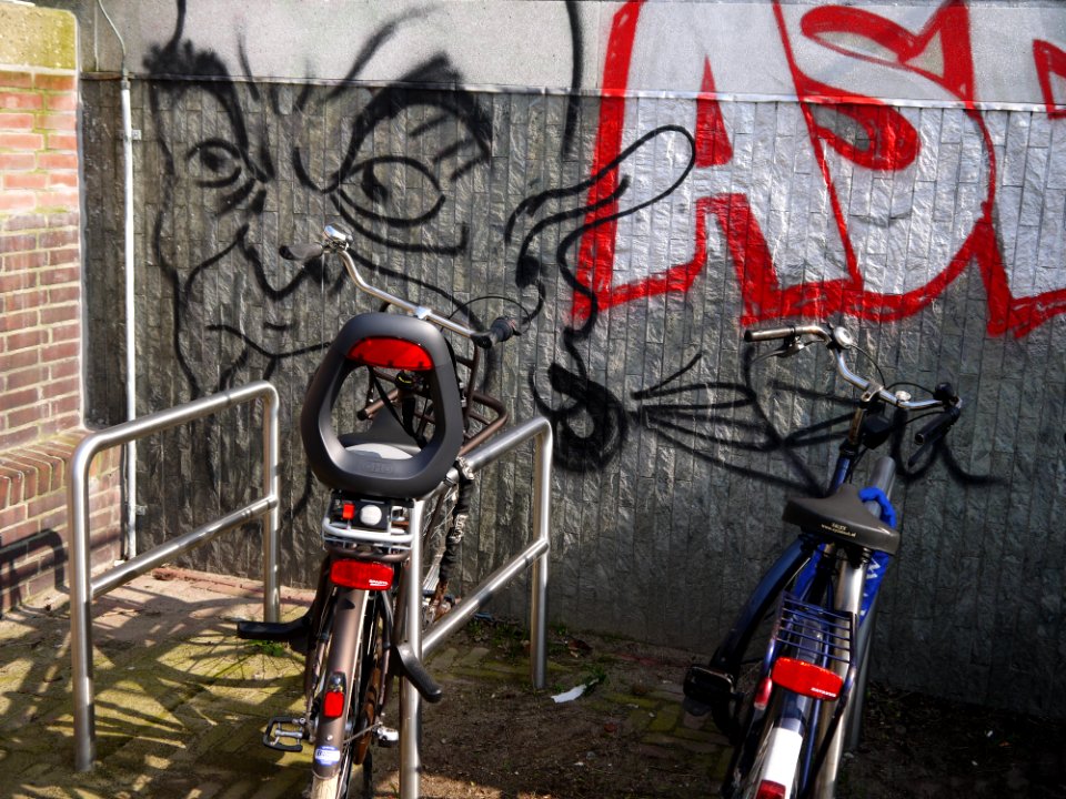 Wall-paintings and urban art on the walls in Amsterdam city