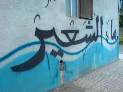 Wallpainting in Nishapur 13