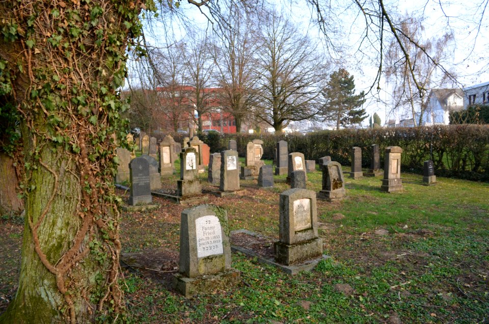 Wallau, Jüdischer Friedhof (3)