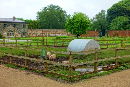 Walled Garden, Shugborough Estate - Staffordshire, England - DSC09997