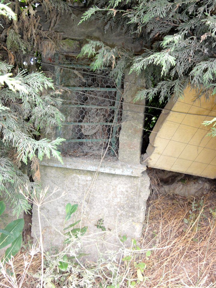 Wallers-en-Fagne (Nord, Fr) une petite chapelle de la Vierge