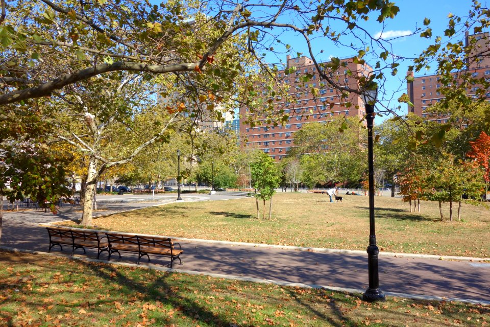 Walt Whitman Park - Brooklyn, NY - DSC07614
