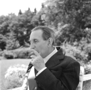 Walter Mehring zittend op een terras, Bestanddeelnr 254-5069