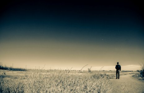 Walk (250727623)