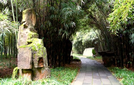 Walk and rock - Wangjianglou Park - Chengdu, China - DSC05927
