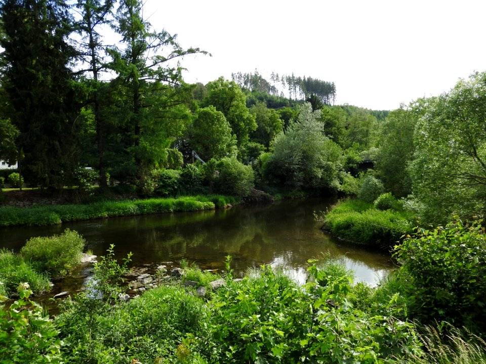 Walsburg 08