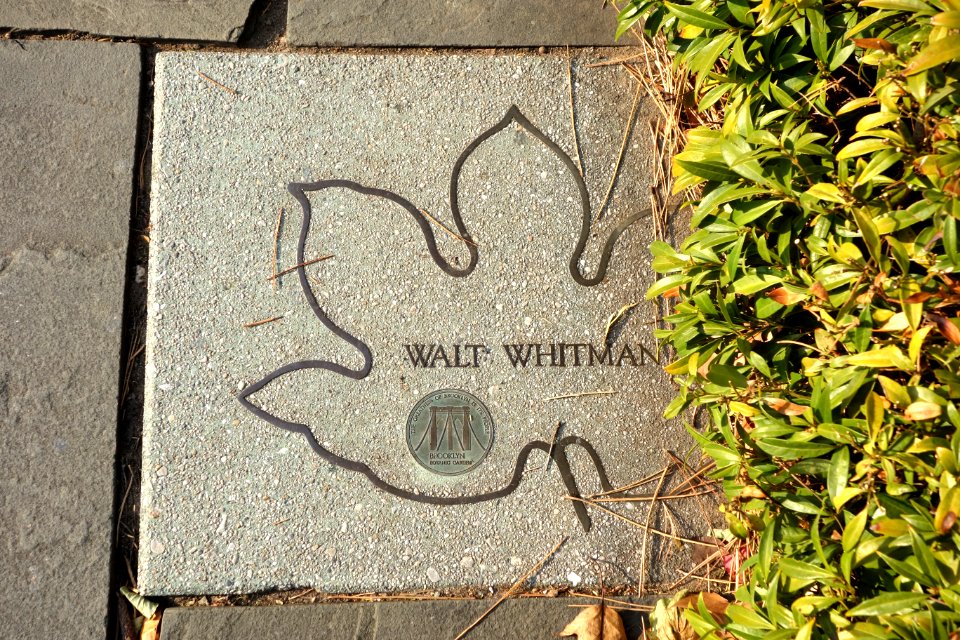 Walt Whitman - Brooklyn Celebrity Path - DSC07917