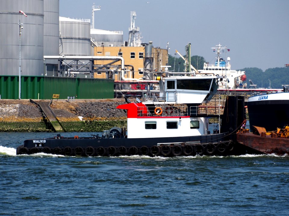 Walvis – ENI 02335680, Welplaathaven, Port of Rotterdam pic1