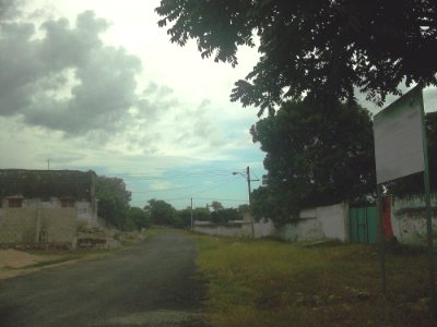 Walis, Yucatán (05)