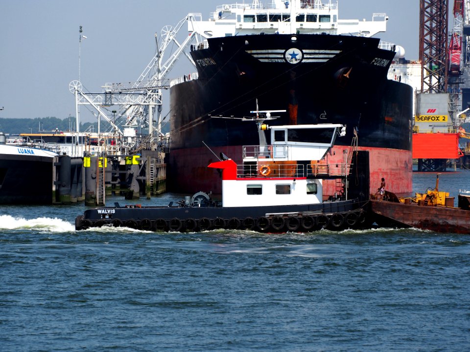 Walvis – ENI 02335680, Welplaathaven, Port of Rotterdam pic2