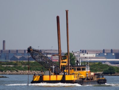 Walrus - IMO 7917202 , Oude Maas, Dordrecht, pic1