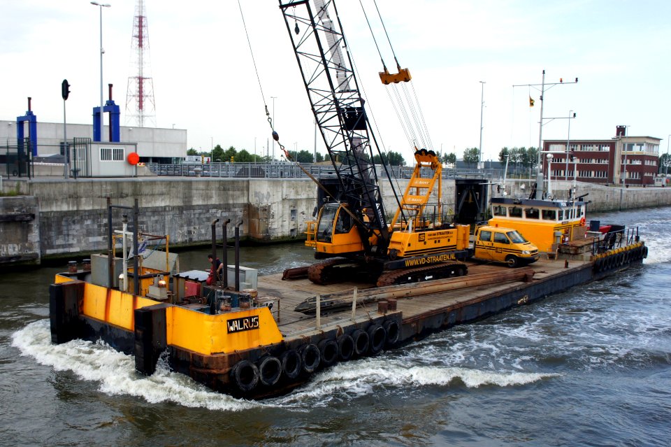 Walrus - IMO 7917202 , Port of Antwerp, pic3