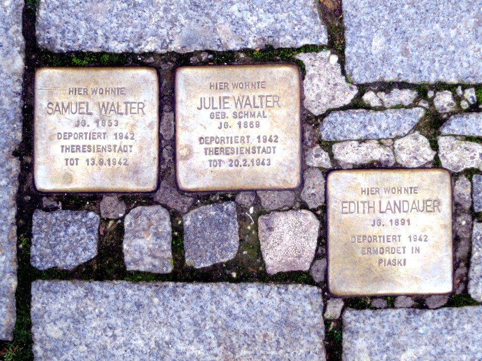 Walter - Stein - IMG 2088 v1