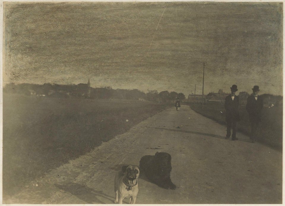 Wandelaars en honden op de Kleverlaan, Inventarisnummer NL-HlmNHA 24478