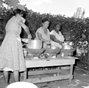 Vrouwen aan het koken in Paramaribo, Bestanddeelnr 252-2294