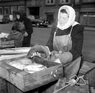 Vrouwen bij hun koopwaar op de vismarkt in Kopenhagen, Bestanddeelnr 252-8838