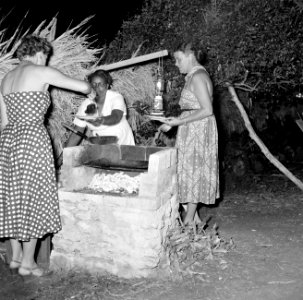 Vrouwen aan het barbecuen, Bestanddeelnr 252-3086