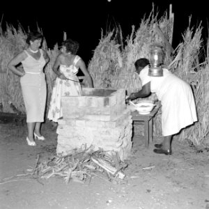 Vrouwen aan het barbecuen, Bestanddeelnr 252-2699