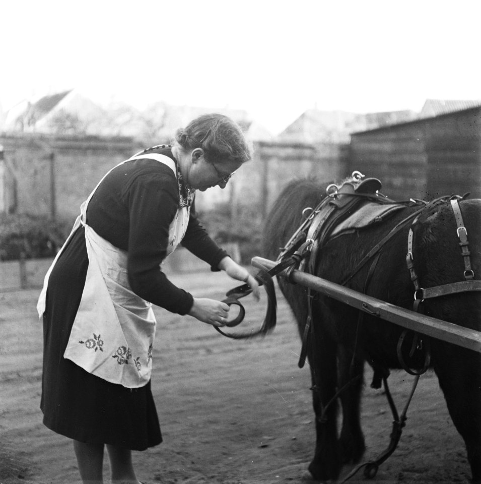 Vrouw met ezel, Bestanddeelnr 901-0008