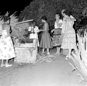Vrouwen aan het barbecuen, Bestanddeelnr 252-2700