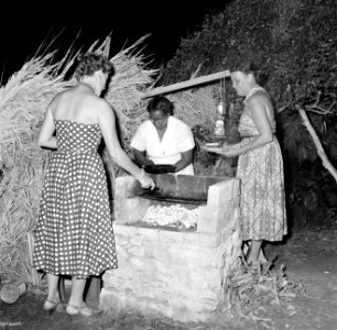 Vrouwen aan het barbecuen, Bestanddeelnr 252-3085