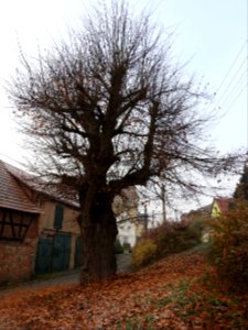Walpernhain 32