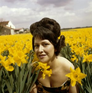 Vrouwen, BLOEMBOLLENVELDEN, Narcissen, Bestanddeelnr 254-7194