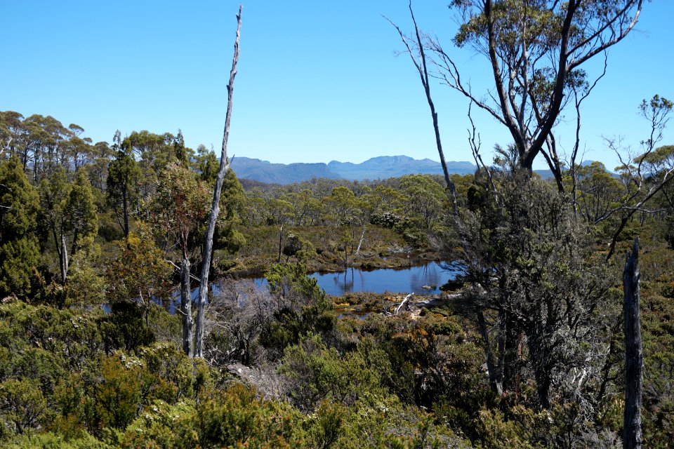 Walls of Jerusalem National Park, Tasmania 35