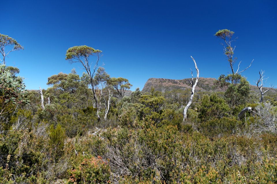 Walls of Jerusalem National Park, Tasmania 58
