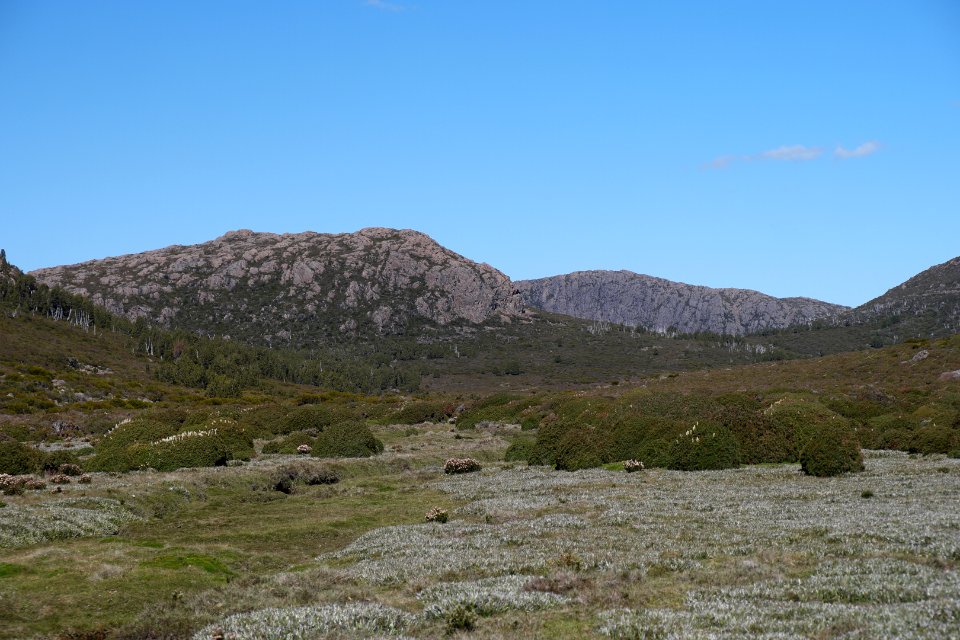 Walls of Jerusalem National Park, Tasmania 111