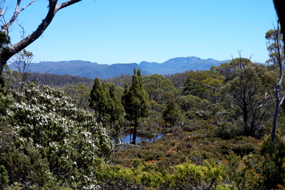 Walls of Jerusalem National Park, Tasmania 34