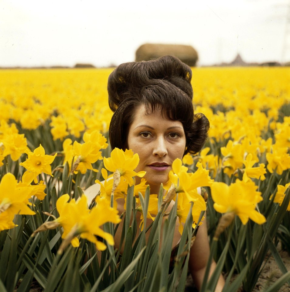 Vrouwen, BLOEMBOLLENVELDEN, Narcissen, Bestanddeelnr 254-7195