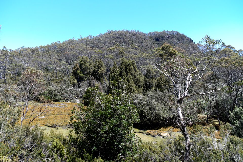 Walls of Jerusalem National Park, Tasmania 19