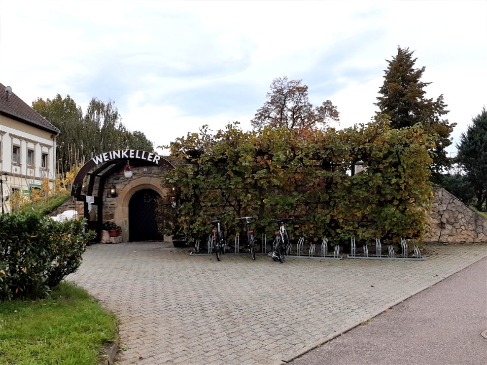 Wallendorf Weinkeller