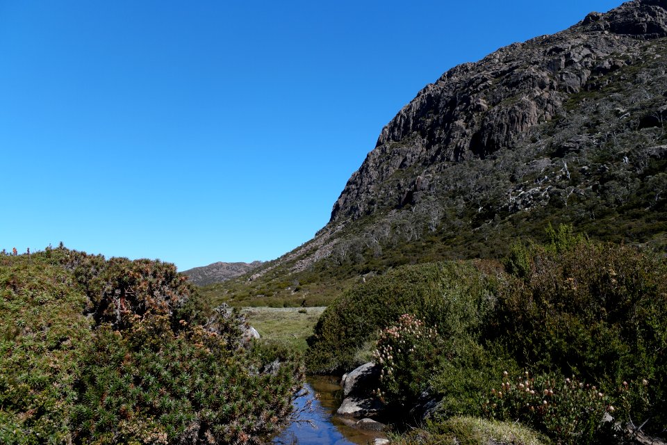 Walls of Jerusalem National Park, Tasmania 119